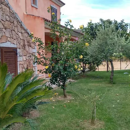Sa Pira Villa Budoni Exterior photo